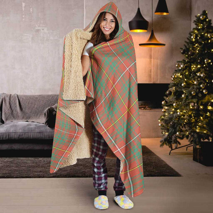 Scottish Bruce Ancient Clan Tartan Hooded Blanket Tartan Plaid 6