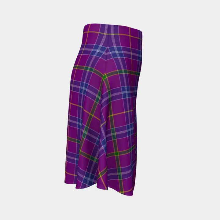 Scottish Jackson Clan Tartan Flare Skirt Tartan Plaid 3
